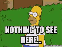 nothing-to-see-here